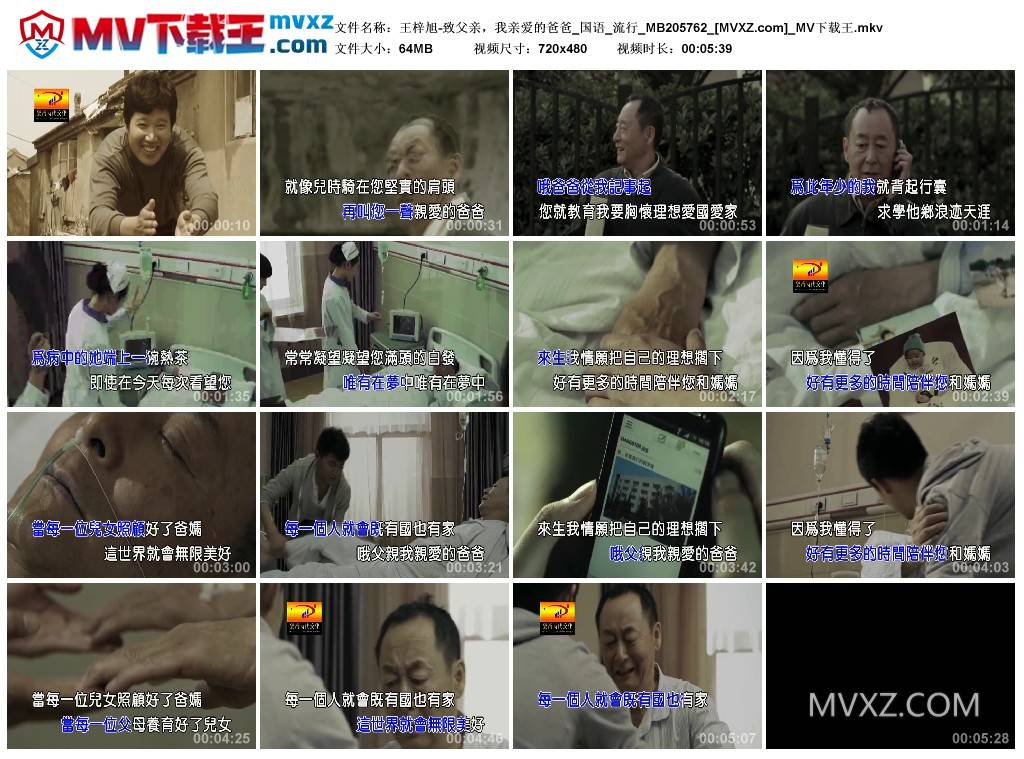 王梓旭-致父亲，我亲爱的爸爸_国语_流行_MB205762